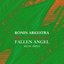Fallen Angel (Kelpe Remix)