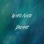 White Noise Dreams