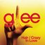 Hair & Crazy in Love (Glee Cast Version)