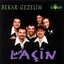 Bekar Gezelim