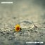 A Flower is a Lonesome Thing