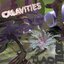 Calavities