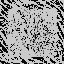 gh_BCST_INTPR