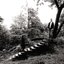 Timber Timbre (Deluxe)
