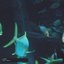 Open Water