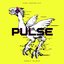 Pulse: Through the Maelstrom (Remixed by Takafumi Imamura)