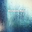 Window Rain