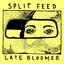 Late Bloomer
