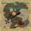 Spiritual Songs And Dances Of The Native American Indians