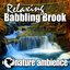 Relaxing Babbling Brook (Nature Sounds)