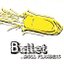 Bullet