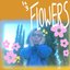 Flowers - Single