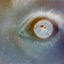 Avatar di moj085