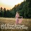 Old Tree House