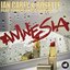 Amnesia (feat. Timbaland & Brasco)