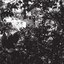Pantheonic Pestis
