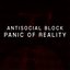 Panic Of Reality