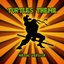 Teenage Mutant Ninja Turtles Theme (Metal Cover)