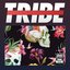 Tribe, Vol. 03 - Single