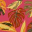 spinning - Single