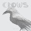 Crows - Single