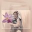 Spell V: Like Honey in a Hidden Cave - Single