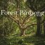 Forest Birdsong - Single