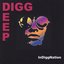 InDiggNation