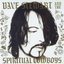 Dave Stewart & The Spiritual Cowboys
