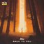 Back to You - Single