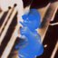 colour photo