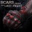 Scars From The Last Fight