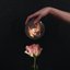friXion - Single