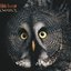 OwlAWOL