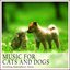 Music for Cats and Dogs (Soothing Atmospheric Music)