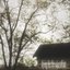 dying for the sake of art:a compilation of songs and ballads