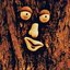 Mr. Neckofthewoods
