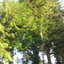 atleast we had some time to share