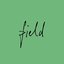 Field 04