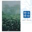 中國交響世紀 卷伍 - 亦歌亦淚 民初的暗夜心聲 Chinese Symphonic Century, Vol. 5: An Era of Songs and Tears