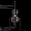 Amplified: a Decade of Reinventing the Cello