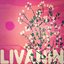 Livanin - Single