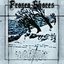 Frozen Shores