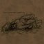 halflife