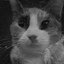 Mew Mew Mew - Single