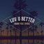 Luv U Better (feat. Faydee) - Single