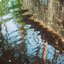Hammock Songs