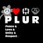 PLUR - Peace & Love & Unity & Respect