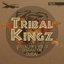 Tribal Kingz Adventures, Vol. 3 (Destination DUBAI)