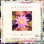 Don't Matter (feat. Darianna Everett)